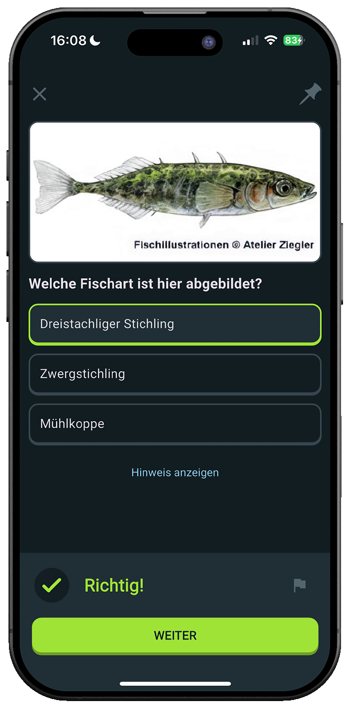 Leben in Deutschland iPhone Screenshot