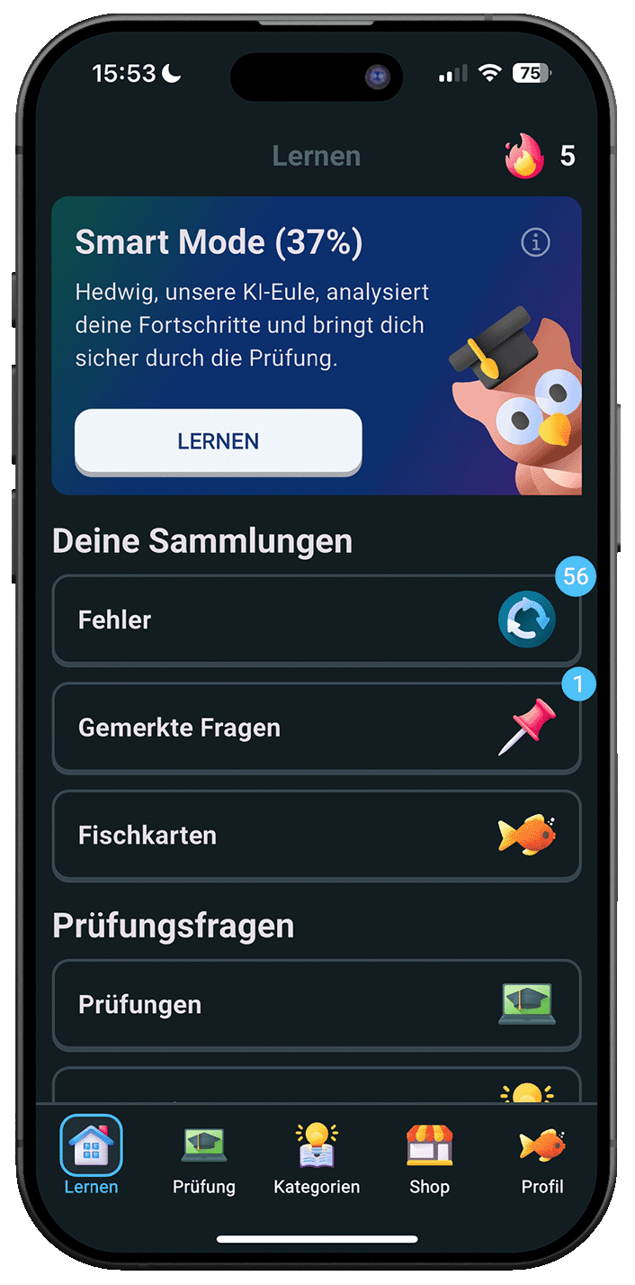 Leben in Deutschland iPhone Screenshot